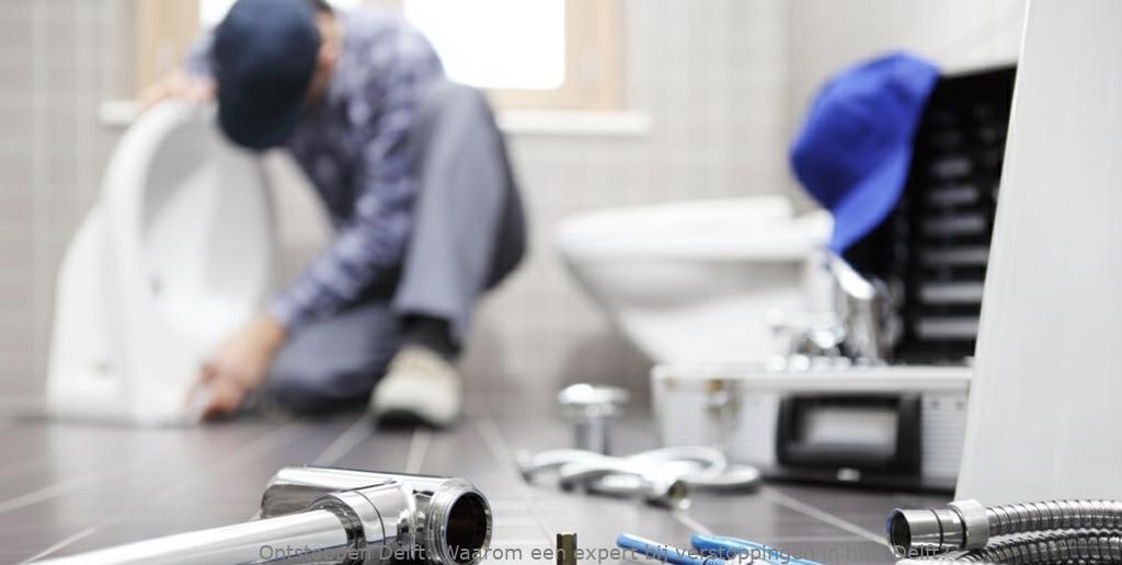 Waarom een expert bij verstoppingen in huis Delft?